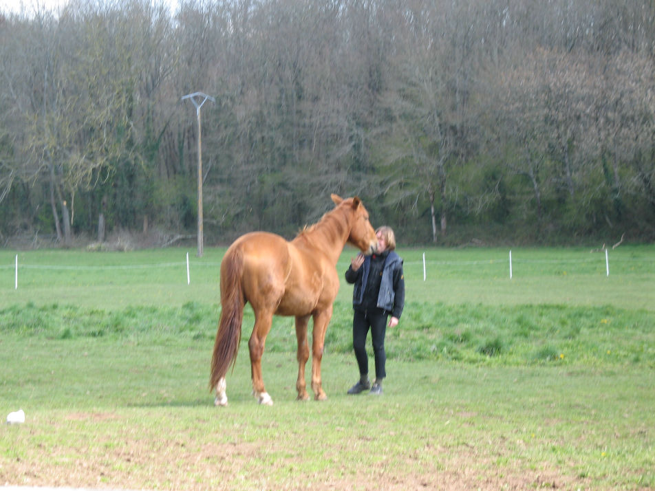 Dirk en Nickel in weide staand