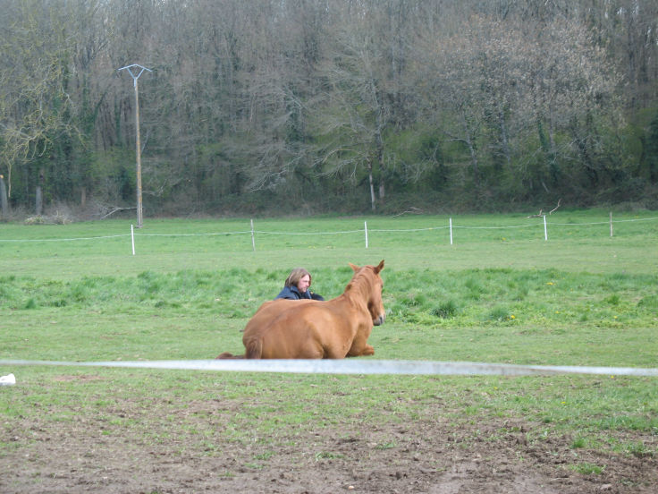 Dirk en Nickel in weide